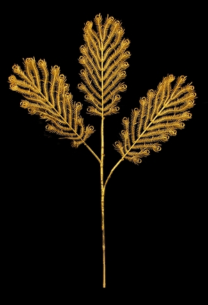 Paví peří 3 dílné, zlaté délka cca 70 cm  - zobrazit detaily